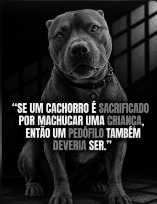 FlavioRoMart's tweet photo. Totalmente à favor!!! https://t.co/xgKXPazlkS