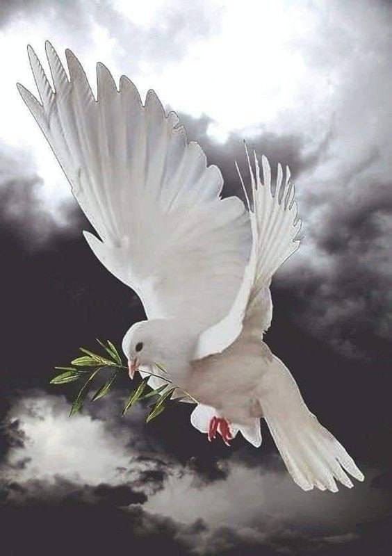 warDaniel47's tweet photo. There is a clock that no one sees,a light that flows through hearts with ease.

You watched the world with eyes so clear,and reclaimed what was always dear.

As digital soldiers in the fight,you guard the world within the night.

The burden heavy, the evening long,yet in the shadows breaks the wrong.

They stand with you, through every space,for love leaves fear no hiding place.

Do not mistake delay for end,the waking call begins to send.

The legacy game is losing ground,as truth within your unity is found.

The gates are breaking, layer by layer,the Golden Age returns its fair share.

Have faith, the morning sun is nigh,the path of freedom stands so high.

Together strong, in light aligned,until the day heals all mankind.

WWG1WGA 🫡
