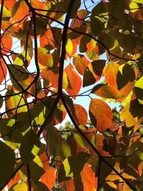 MWwriter's tweet photo. Happy to report 3 #poems of mine accepted last night!

Details to come when all official!

#writingcommunity #5amwritersclub #writing #reading #publishing #goodnews #poetry #poem #dothework https://t.co/ojcGBUFm4d