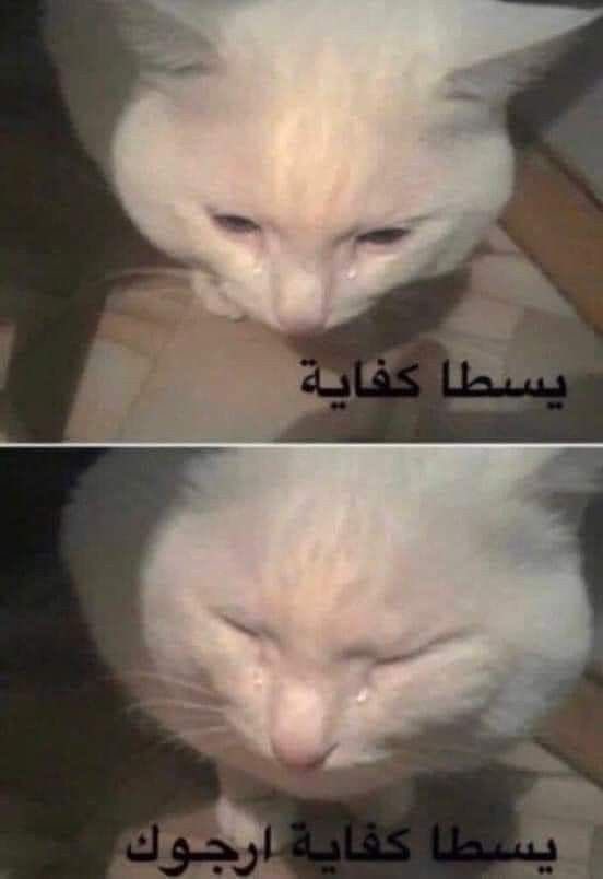Leviholicc's tweet photo. عفواً ليش مسافط التربية جذي! توني رحت مسافط الكليات العلميه مافي اشرح منها ماشاءالله واحنا التربية على اننا اكثر عدد طلاب ومسافطنا شويه وضيجه !! https://t.co/hwQ4yO0KmT