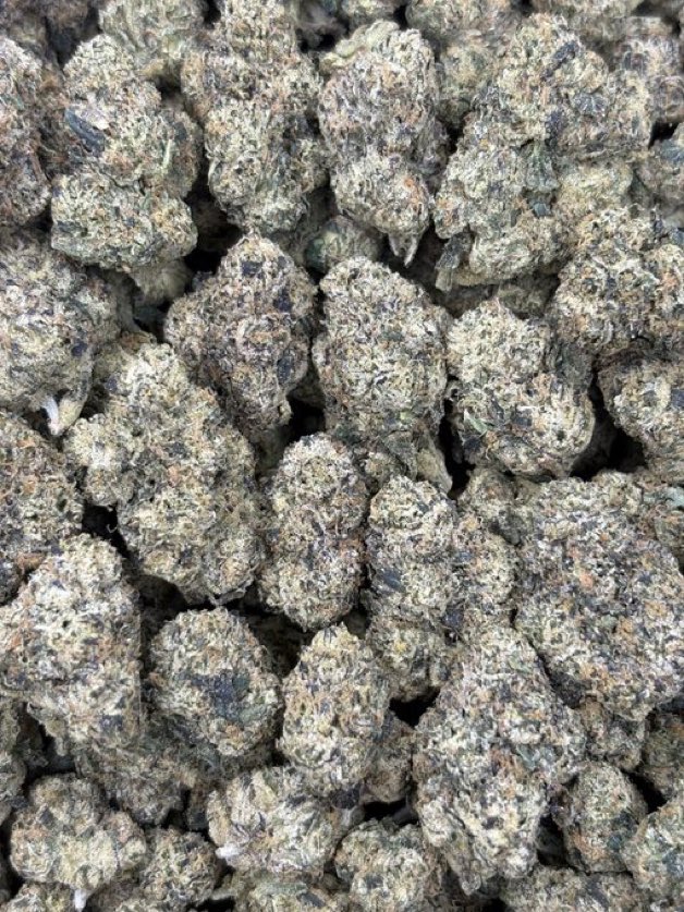 doughboymedzx's tweet photo. Shop open. π²hmu if you need a reliable plug. Also #mobile at that and only sell #za.
#katyplug #cypressplug #mocityplug
#Westchaseplug #westhimerplug #pearlandplug #southsideplug #plugonthenorth #baytownplug. π²
Che k link in bio https://t.co/G66LNSHk5f