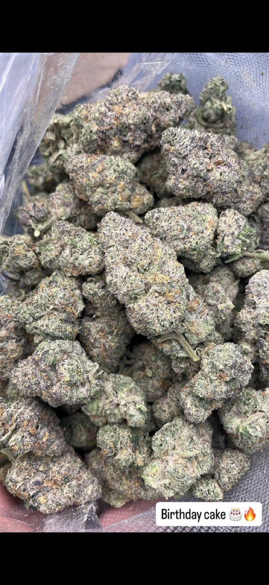 doughboymedzx's tweet photo. Mobile plug. #htxplug #cypressplug #newlist #htxmeets #meetups mobile and reliable to htx and all surrounding areas. If you need a plug? , Iβm dedicated to being your new constant #plug #katytx #katyplug #channelviewplug #humbleplug #northsideπ #plugonthenorth #springtxplug https://t.co/sV8rQE3TvF