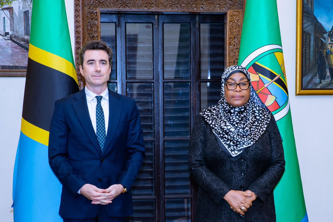 420Cousin's tweet photo. France has officially entered the chat! 🇹🇿🇫🇷

President Samia receives France’s Ambassador designate, Jean-Baptiste Jeangene Vilmer, at State House.

In diplomacy, even the handshake comes with paperwork, protocol and international relations! 

Bienvenue en Tanzanie! https://t.co/DUI18FndKk