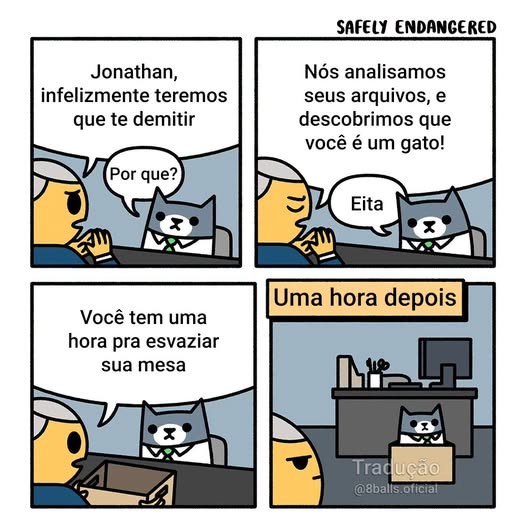 El_gato_perez_'s tweet photo. https://t.co/dz4CBPABbs