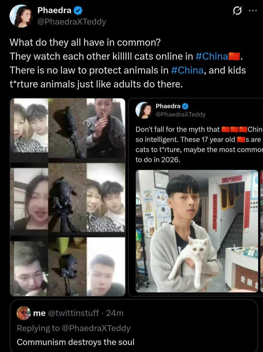 PhaedraXTeddy's tweet photo. Even before the existence or absence of animal protection laws, humans wouldn't do such cruel things, why would anyone even waste their time to seek out animals to abuse? Ask #China why there is no #ChinaAnimalProtectionLaw and WHY @cloudflare hosts a website that broadcasts and sells illegal #MadeInChina cat t*rture videos. Over the years of permission by the Chinese government and incomprehensible cooperation of @cloudflare, making animal t*rture videos has become mainstream in #China🇨🇳 and Chinese childs play. @cloudflare makes up excuses to pretend they have no responsibility for the fact they host an illegal animal t* rture website that sells illegal videos including #MadeInChina cat t*rture videos. What's the worst that would happen if @cloudflare stopped taking money from Chinese animalabusers for giving them a place to sell illegal videos of animal t*rture, some videos even made by minors and available worldwide. @cloudflare has helped animal abusers make money for videotaping and uploading their crimes.