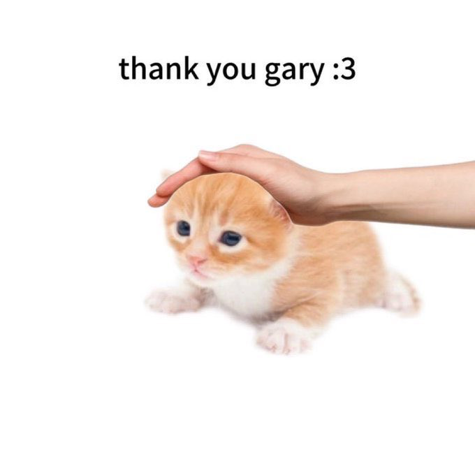 Shroompus's tweet photo. @thankyougary__ Thank you gary! https://t.co/pUC1OcnvBo