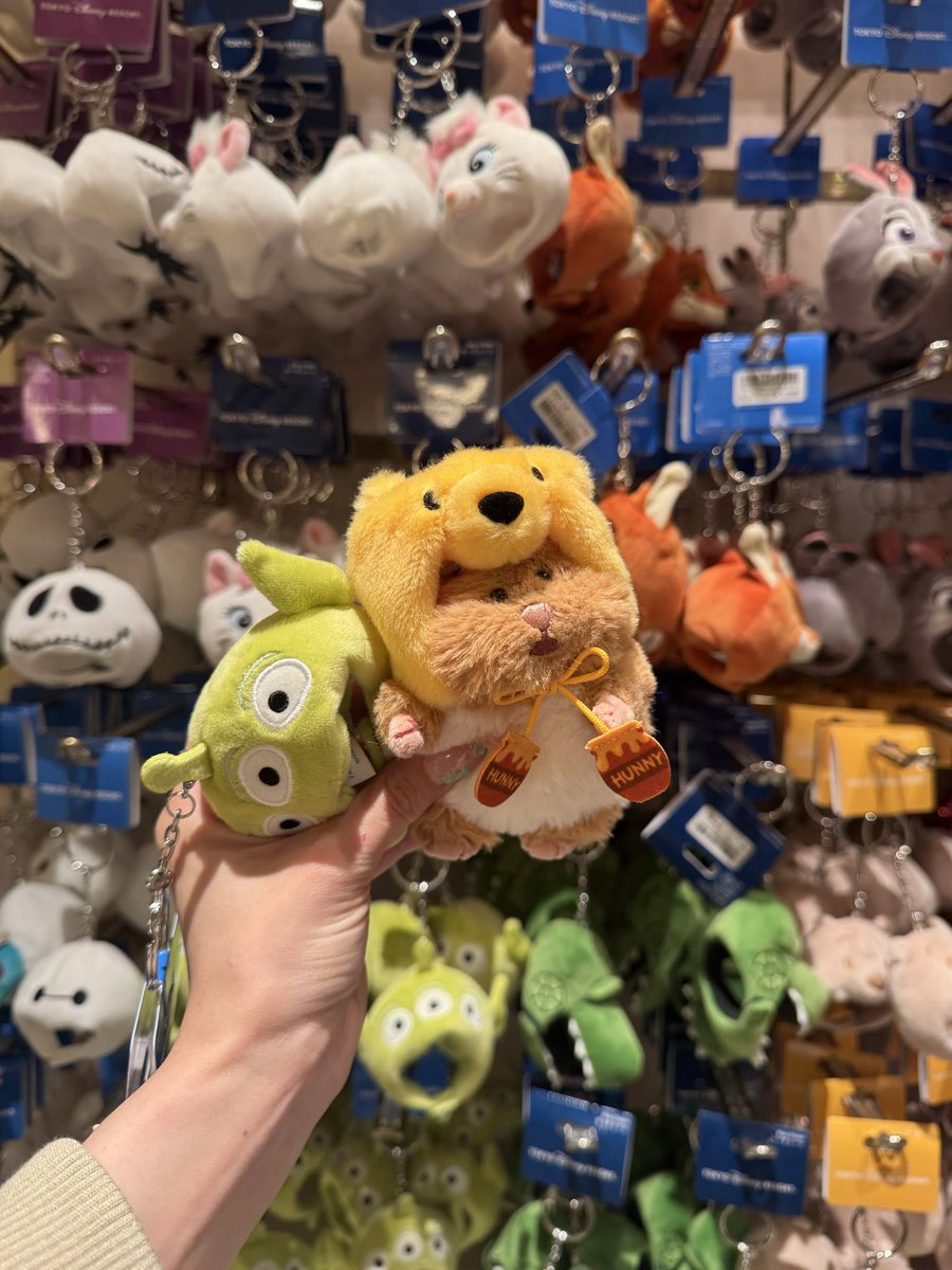 _2525_neko's tweet photo. ディズニーに売ってるこのシリーズはむにぎりにぴったりすぎる🐹💕🐹💕￼🐹💕 https://t.co/ohbmfJcjap