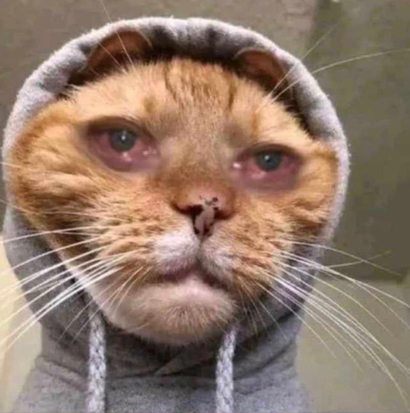 _Queen_ADi's tweet photo. small accounts right now. https://t.co/RhWUpHJrhQ