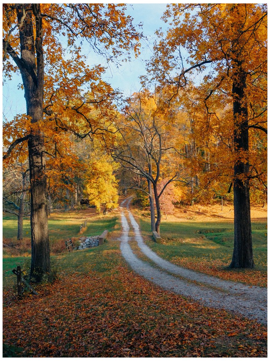 nev_in_color's tweet photo. Autumn in Pennsylvania 🍂 https://t.co/1epKf0YlLj