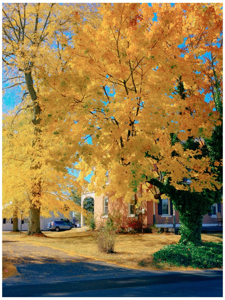 nev_in_color's tweet photo. Autumn in Pennsylvania 🍂 https://t.co/1epKf0YlLj