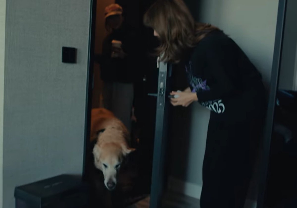 TidaLisaDoja's tweet photo. มีฉากหนึ่งในสารคดีที่ฉันไม่ไหวคือลิซ่าถึงกับต้องพึ่งสุนัข Therapy dog(สุนัขบำบัดเพื่อช่วยฟื้นฟูเยียวยาสภาพจิตใจ)ตอนน้องถามหาว่าน้องหมามารึยังฉันไม่ไหวเลย😭 https://t.co/TrYs0zqOiR