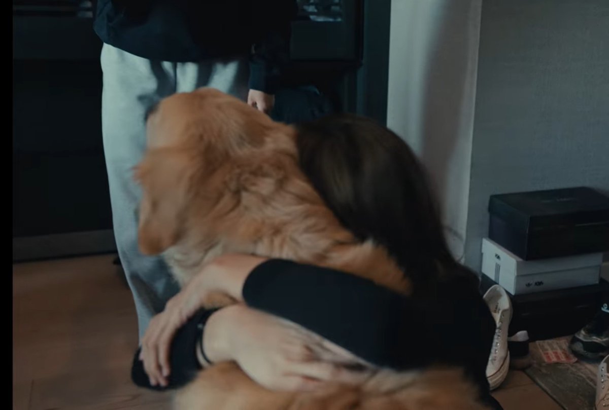 TidaLisaDoja's tweet photo. มีฉากหนึ่งในสารคดีที่ฉันไม่ไหวคือลิซ่าถึงกับต้องพึ่งสุนัข Therapy dog(สุนัขบำบัดเพื่อช่วยฟื้นฟูเยียวยาสภาพจิตใจ)ตอนน้องถามหาว่าน้องหมามารึยังฉันไม่ไหวเลย😭 https://t.co/TrYs0zqOiR