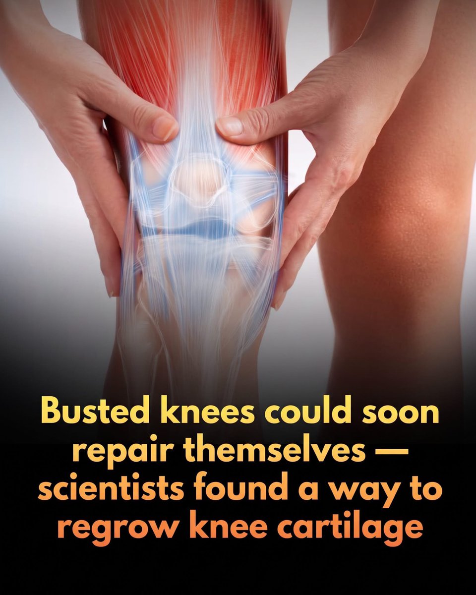 SmartScience tweet picture