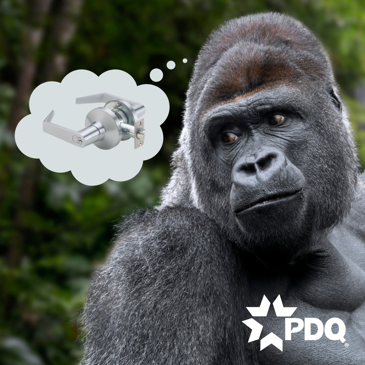 PDQLocks's tweet photo. Engineered for real-world abuse: The XGT Series withstands 3,000 lbf-in lever torque, which is four times the ANSI/BHMA Grade 1 standard, that's gorilla-level strength. Trust the hardware built for the toughest environments. #PDQLocks #XGTSeries #Grade1 #CommercialSecurity https://t.co/xE9vmvFLHk