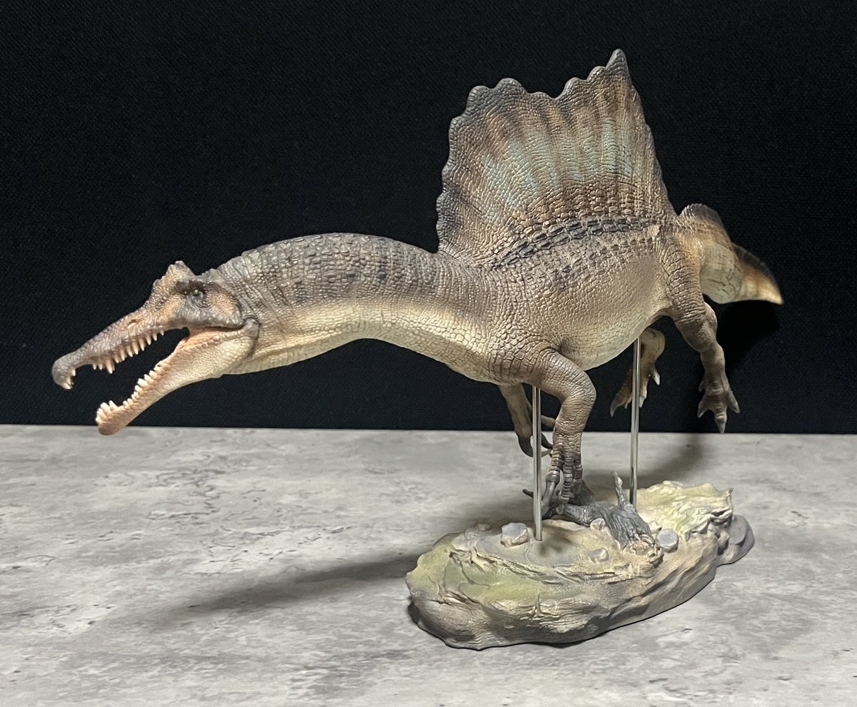 DinoAnatomy24's tweet photo. 最新の研究結果に基づく昨今の獣脚類の殆どが遠目で見ると鱗のディテールが見えにくいので個人的に造形物としての好みで言えばこの商品の様に鱗が大きめで全身を引きで見てもディテールがはっきり見えるのが良いですね☺️
#spinosaurus aegyptiacus　#WDragon https://t.co/OodnXZZbOo