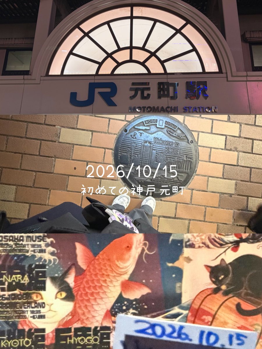 hanedesuwing's tweet photo. #日常 https://t.co/DrwBdIRAV7