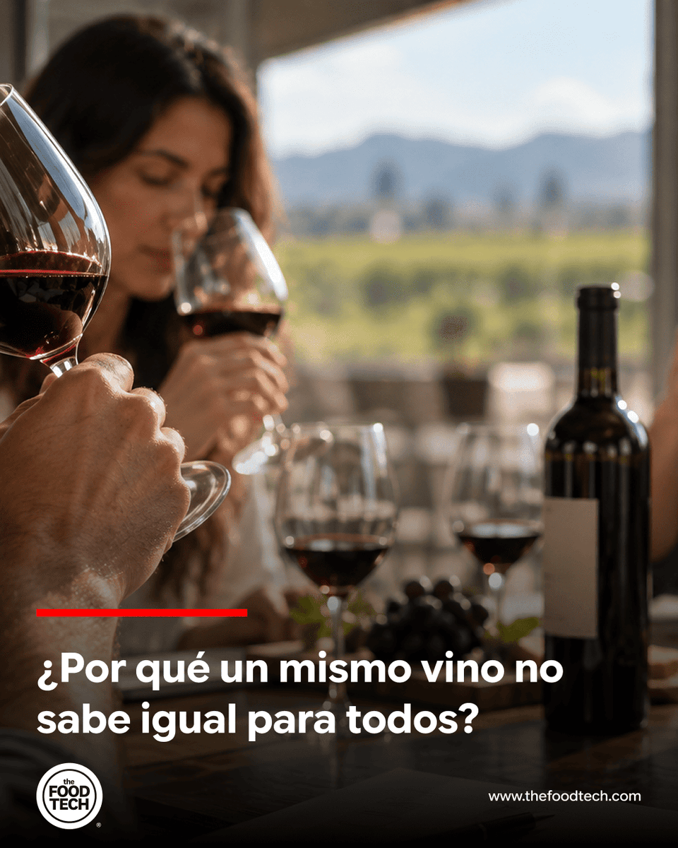 ElFoodTech's tweet photo. 🍇🍷¿Qué hace que una copa de vino nos resulte atractiva… o no?

Conoce más 👉https://t.co/r4MlDlzyNR

#thefoodtech https://t.co/7q4fo9QH8p