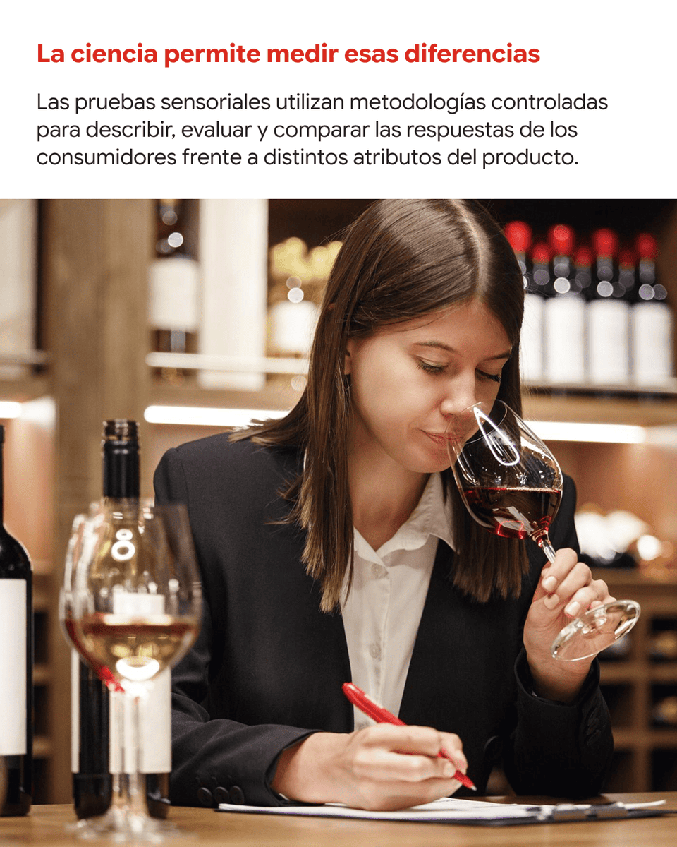 ElFoodTech's tweet photo. 🍇🍷¿Qué hace que una copa de vino nos resulte atractiva… o no?

Conoce más 👉https://t.co/r4MlDlzyNR

#thefoodtech https://t.co/7q4fo9QH8p