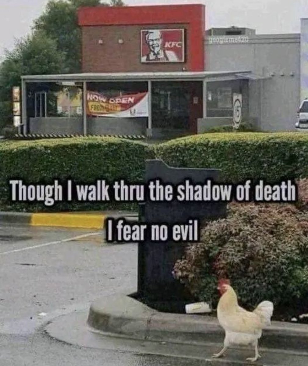 ThePapaManDave's tweet photo. Courage!! 🐓 https://t.co/RJu0SThOWS