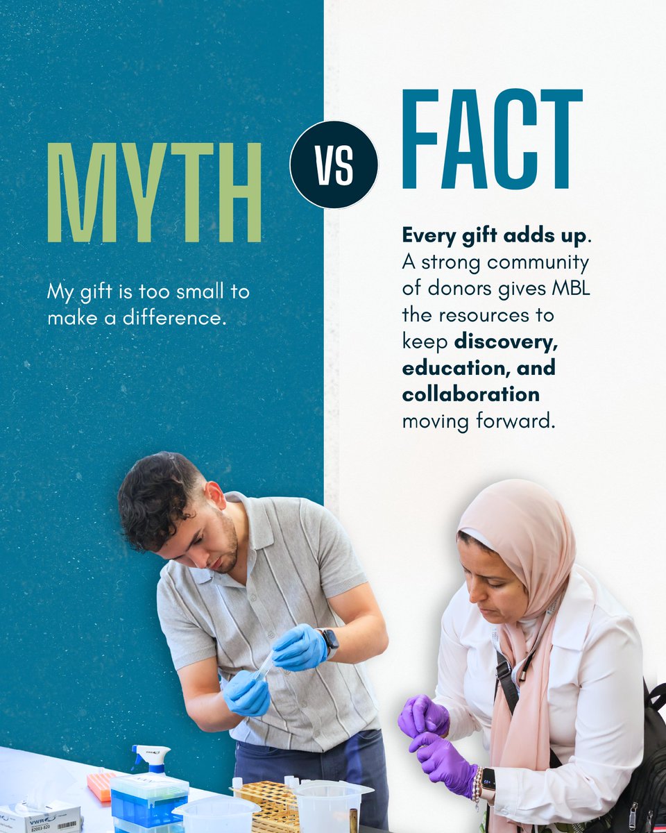 MBLScience's tweet photo. 🔬 Myth vs. fact? Let’s take a closer look at the impact of giving.

Learn how your support helps the Marine Biological Laboratory make groundbreaking discoveries.

🔗 Donate today: https://t.co/LqNatBYZxT https://t.co/69fP9Az6NL