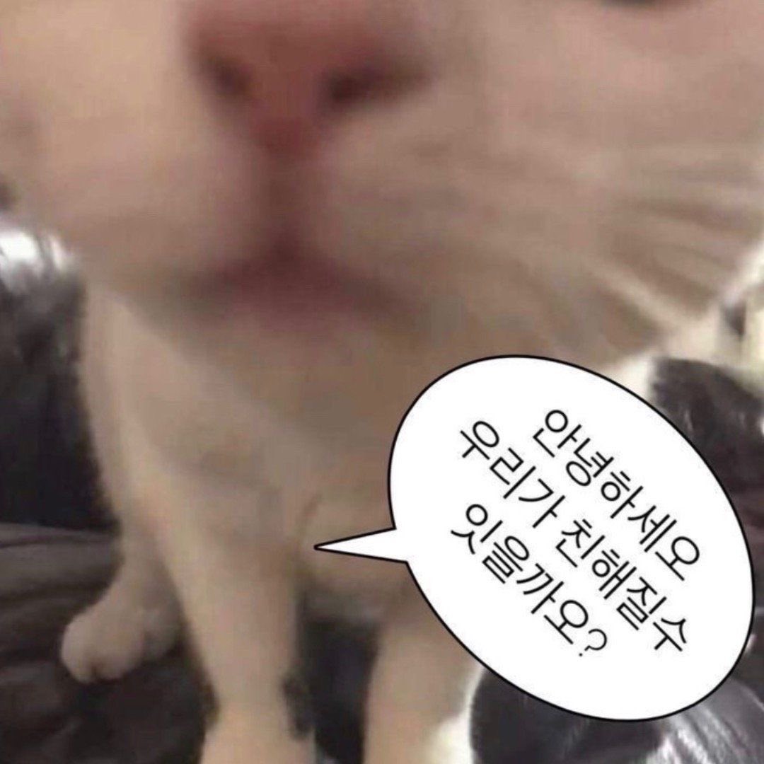 yyamii_1's tweet photo. #짱친구함 

얌!이를 저점매수 해보세오。。🤭🤭
흔적 다 잡을게요.ᐟ https://t.co/AnsBNMuzqy