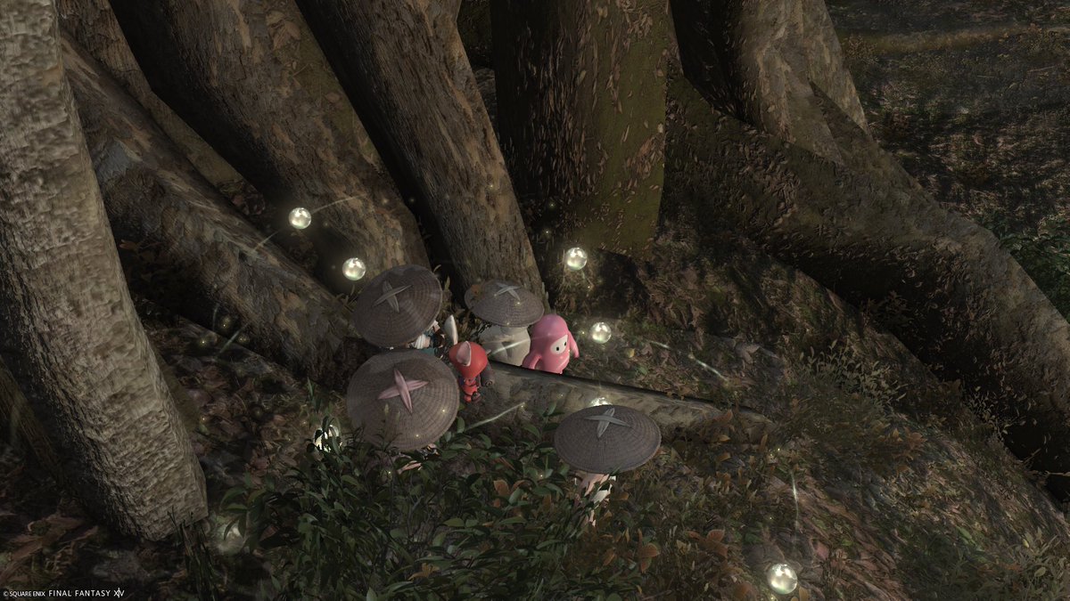 perorimog's tweet photo. 昨日PT募集できのこ探ししてきた🍄
きのこ装備いただいた https://t.co/alUmg0zvru