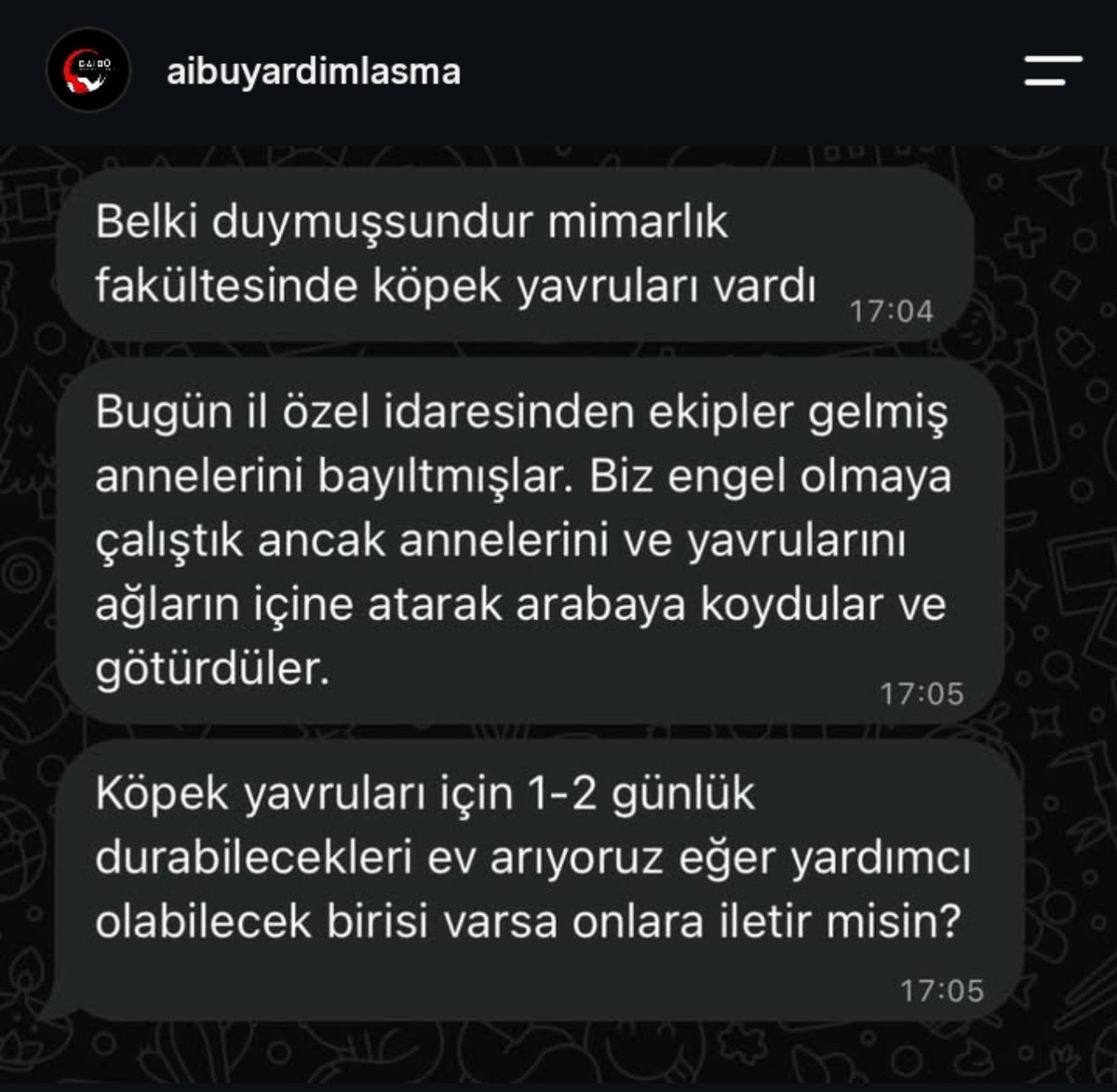 gulsum_dll's tweet photo. 🚨BOLU🚨 https://t.co/7yP1jonxLY