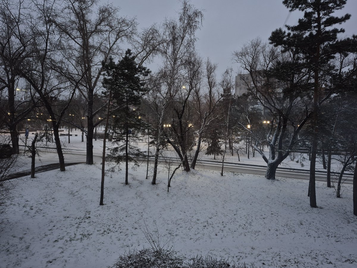 sinmimay's tweet photo. у нас конечно еще снега нет, но я бы хотела поделиться с мексиканочками некоторыми фотографиями со снегом
трогать его - ощущается как трогать много много крошечных льдинок 
от него мокро и холодно, но от него воздух зимой такой, будто жуешь мятную жвачку https://t.co/28SeUqtmsD
