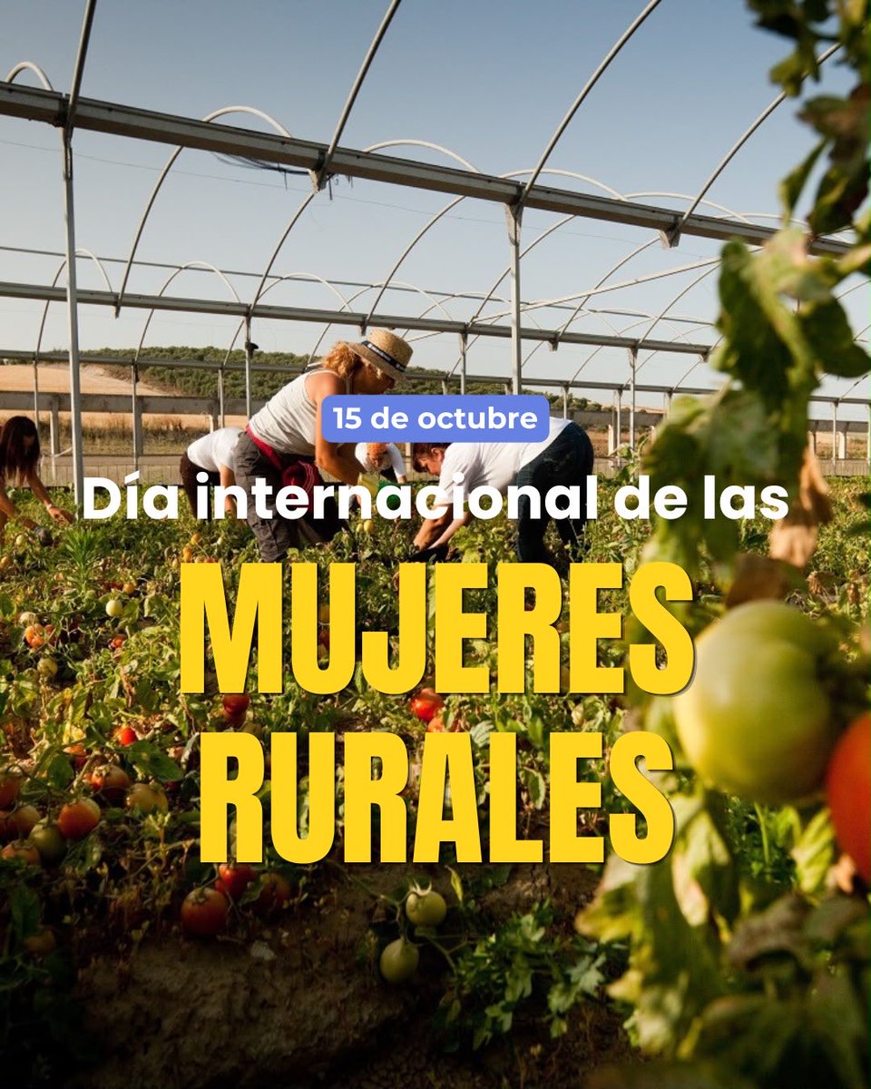AgriculturAnd's tweet photo. 🌾 Hoy, 15 de octubre, celebramos el Día Internacional de las Mujeres Rurales.

Gracias a todas las mujeres que trabajan el campo y sostienen la economía del medio rural. https://t.co/zAi2qXdaXj