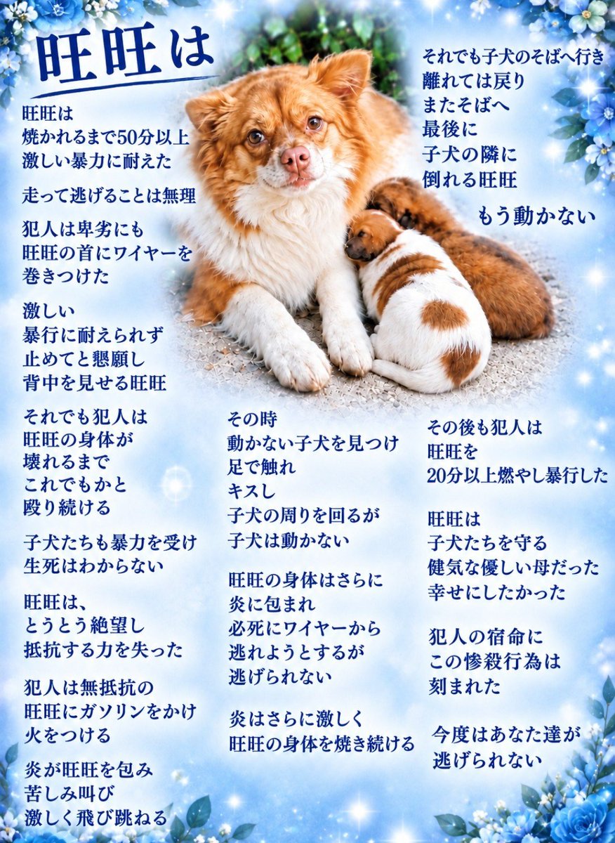 bxynPr0oy1Or7HI's tweet photo. この世界の片隅に
まだ1歳半の母犬、
旺旺は生きていた🌿
健気に
一生懸命に
赤ちゃん達と
生きていた🌿 https://t.co/FGX38j6Dd4