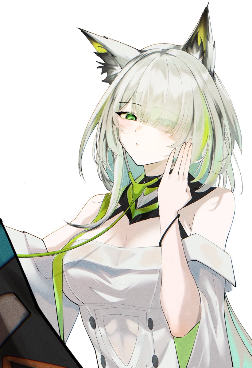 KairenKi's tweet photo. 🐈🩺 https://t.co/HHCaEfvC8W