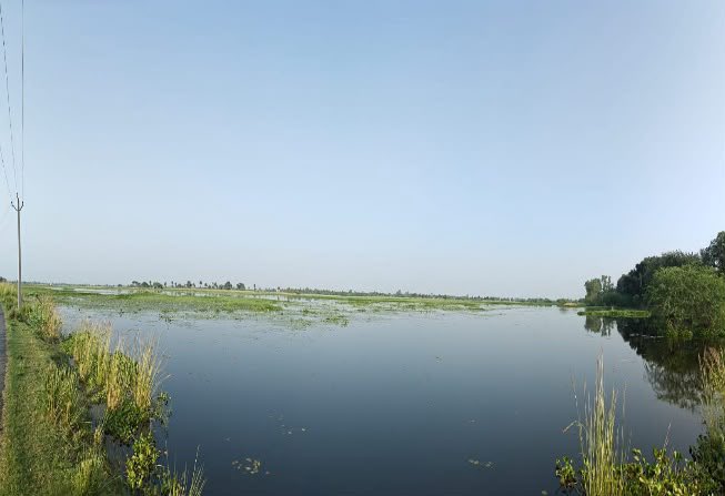 byadavbjp's tweet photo. India’s Ramsar site tally reaches 103 🇮🇳🌿

India continues to strengthen its commitment to wetland conservation, with Sukhna Lake in Chandigarh and Sauj Jheel in Uttar Pradesh becoming the latest additions to the list of Ramsar Sites. 

This milestone highlights the importance PM Shri @narendramodi ji’s government has been laying on wetlands in conserving biodiversity, enhancing water and climate security, and sustaining local livelihoods.

These additions reaffirm India’s ongoing efforts to conserve its rich wetland ecosystems and strengthen the ecological, climatic and livelihood benefits they provide. 🌏💧

I congratulate Uttar Pradesh and Chandigarh for this feat. 

Dear travellers, do visit Sukhna and Sauj next time you have a couple days at hand.

#AmritDharohar