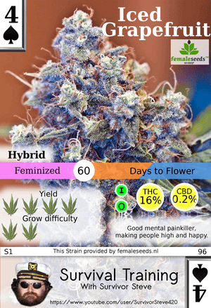 TradingCards420's tweet photo. OG Deck #2 https://t.co/amUw0WcIuB