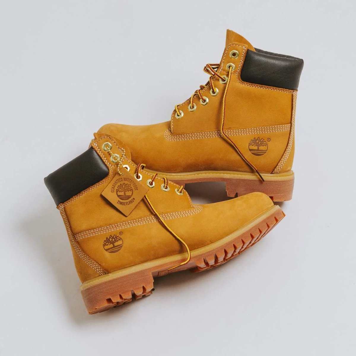 sneakersteal's tweet photo. STEAL💥 21% off

Timberland Men's Premium 6 inch Waterproof Boot

$174.99 + Free Shipping (Original price $220.00) 

https://t.co/omDKTHZEBl https://t.co/qVaTUeEia9