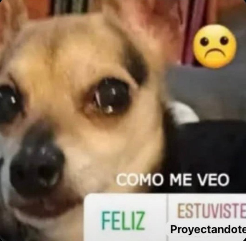 emo_miauu's tweet photo. @nic0_CL Hijito no te proyectes https://t.co/1iwTxeWNRE