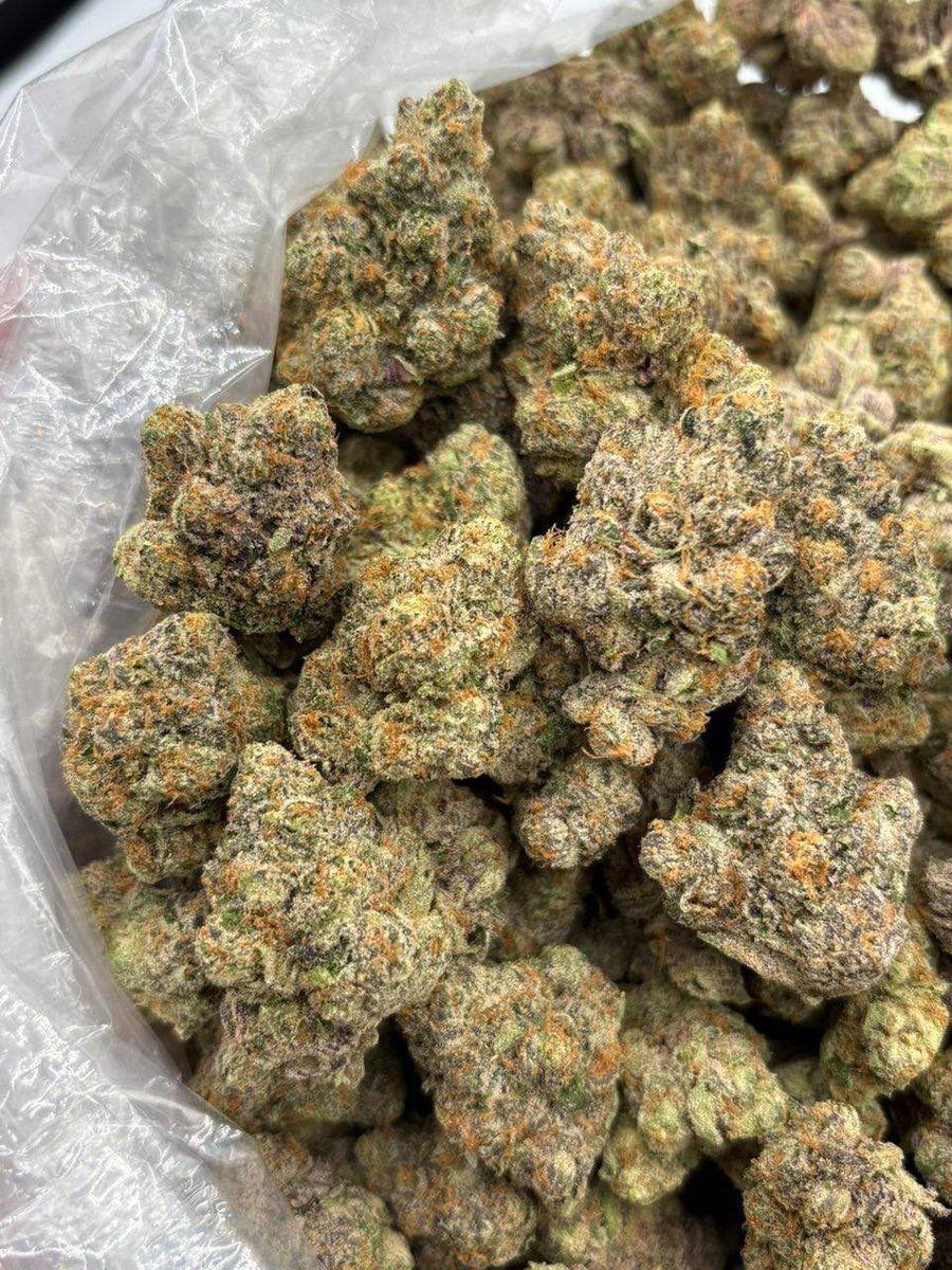 Swismoke420's tweet photo. GUSHSCOTTI💨🤯 https://t.co/ySgNrl6iSm