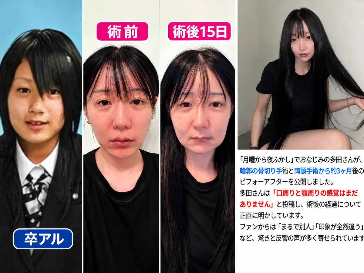 活動歴および当時の関連ビジュアル記録