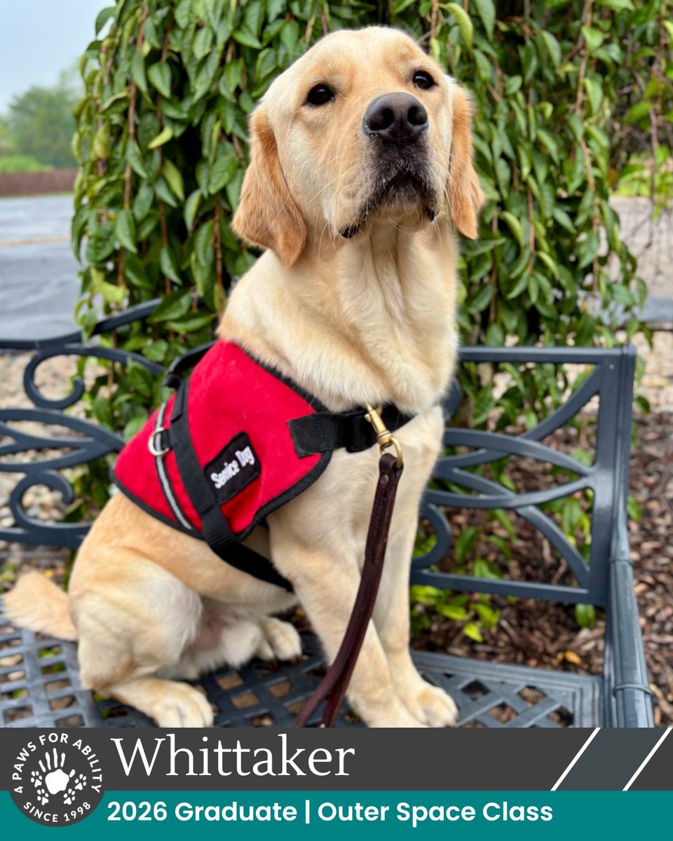 4PawsForAbility's tweet photo. This Friday, the Outer Space Class graduates will go home with their families to start their service dog careers! 🧡 The Outer Space Class is sponsored by PVS Plastics Technology Corp.

4 Paws Service Dog Graduations are FREE and OPEN to the public. RSVP: https://t.co/f5YxSPOqj8 https://t.co/ZHLhNUCnnI