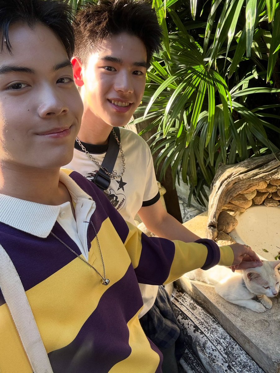 uranus08211208's tweet photo. Halo 2 cuties hehe😚🐶🐰💕
#ujeenayp_ #yugeneyannawat #CCCSummerCrushQ3
@ujeenayp_ @yugeneyaknonmak https://t.co/Yex5T31IkI