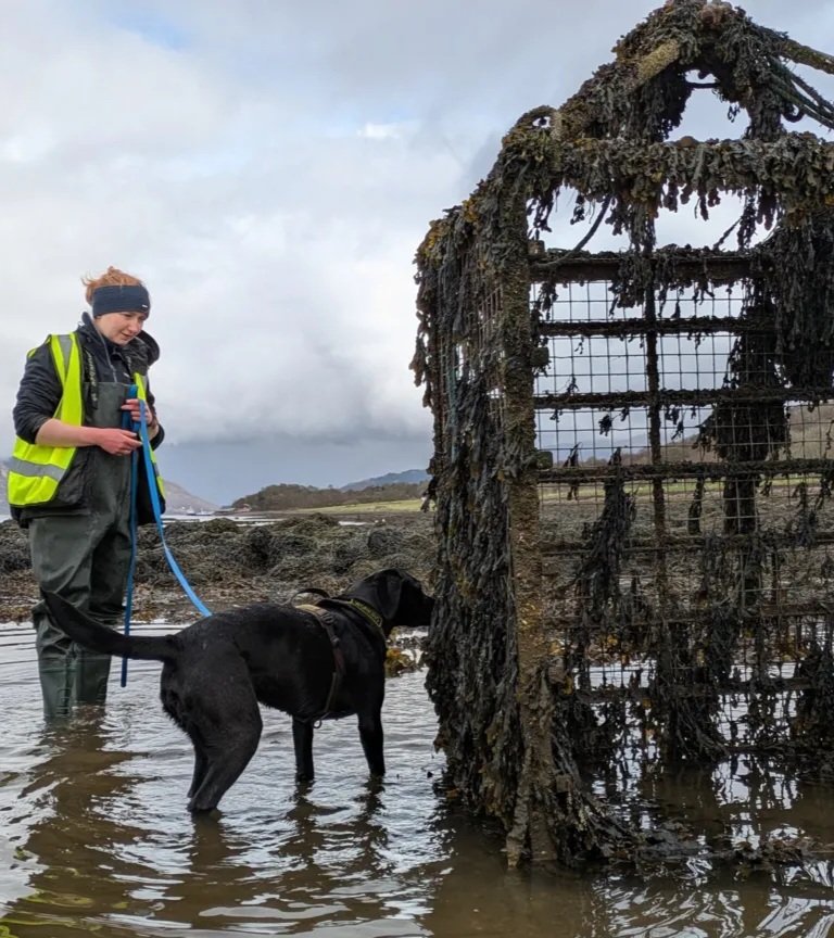 AMAZlNGNATURE's tweet photo. A dog that hunts invasive ‘sea vomit’ has been honoured as the animal of the year

Sgiath, a six year old Labrador in Scotland, uses her sense of smell to detect invasive carpet sea squirt, which can smother native marine life and threaten ocean ecosystems https://t.co/PEEp6jSkCT