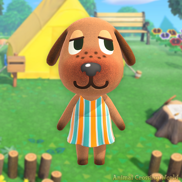 ACWorldBlog's tweet photo. Happy Birthday to Bea! 🎉🐶 https://t.co/ttu0n9uvYp