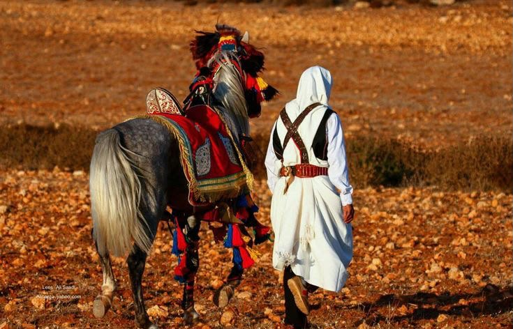 hudaomranty's tweet photo. الأصالة الليبية في أجمل صورها 🇱🇾🐎❤️
الفارس وخيله وزيّه التقليدي، تفاصيل تحكي تاريخ من العراقة والفخر بالهوية والتراث الليبي الأصيل.
#ليبيا #تراث_ليبي #الفروسية #الخيل_العربي #التراث_الليبي #الهوية_الليبية #ليبيا_زمان https://t.co/sXWAOgjnoc