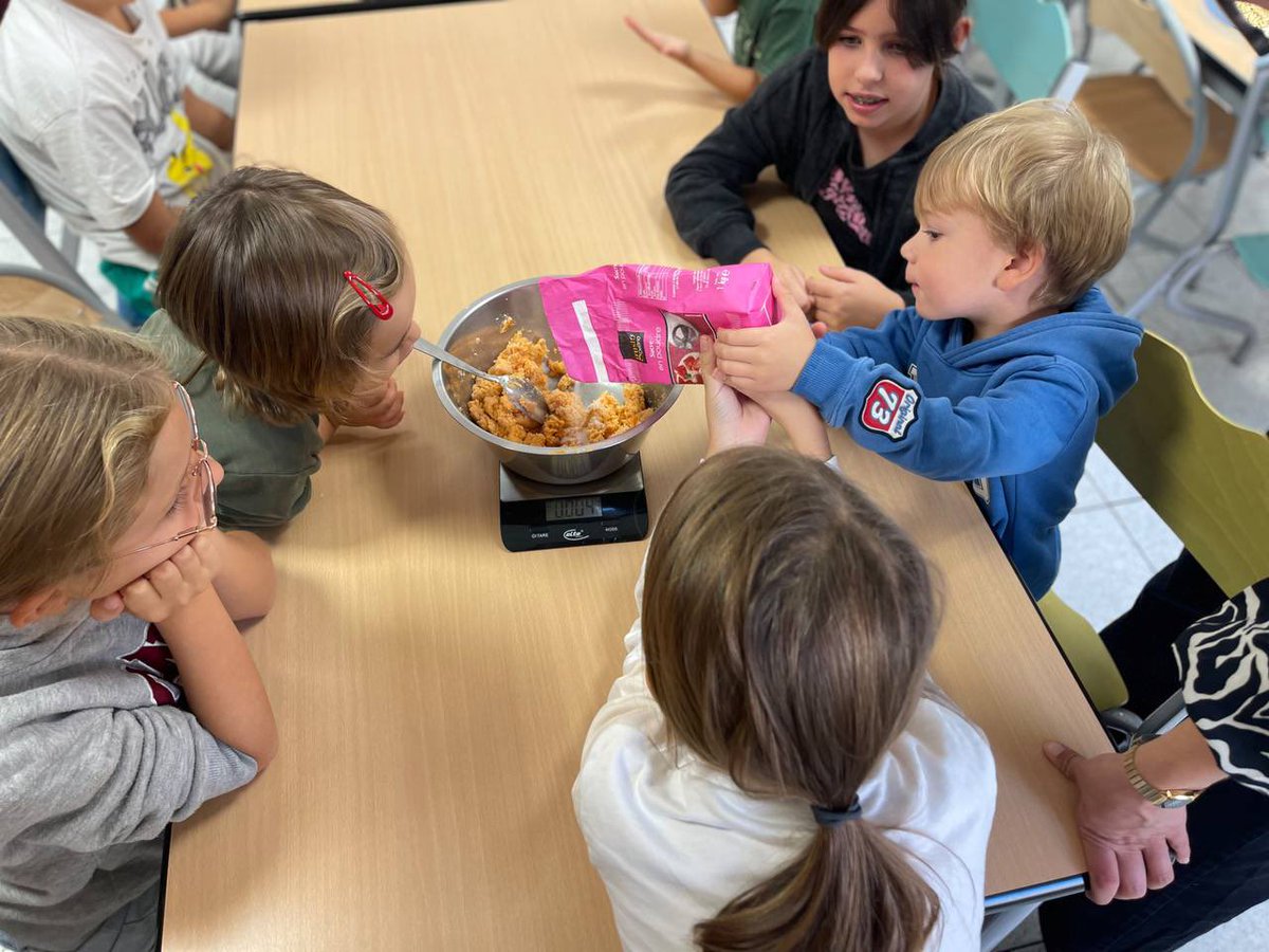 LaBressola's tweet photo. 😋 Demà és el darrer dia de classe abans de les vacances de tardor i avui la mainada de les escoles ha preparat els panellets per a la festa de la Castanyada que tindrà lloc aqueix divendres. La mainada, en grups de franges d'edat diferents n'ha fet un munt i de sabors diferents! https://t.co/fn65VBL74z