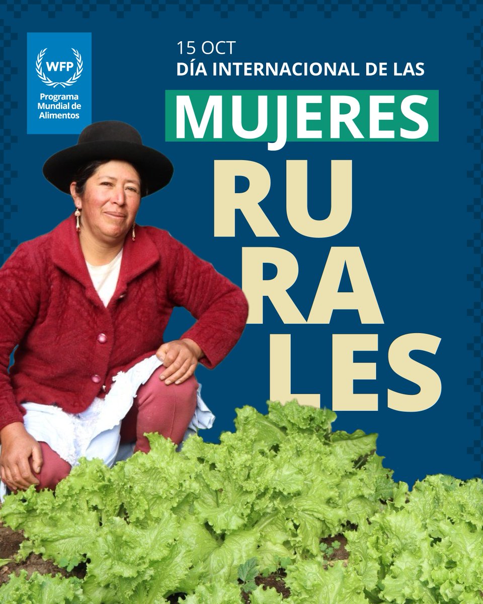 WFP_Peru's tweet photo. 🌾Mujeres rurales empoderadas transforman el campo, fortalecen la seguridad alimentaria y siembran oportunidades para las futuras generaciones. Hoy reconocemos su liderazgo, resiliencia y capacidad para cambiar vidas y comunidades enteras. 
#DíaInternacionalDeLasMujeresRurales https://t.co/q5RHeFBfuZ