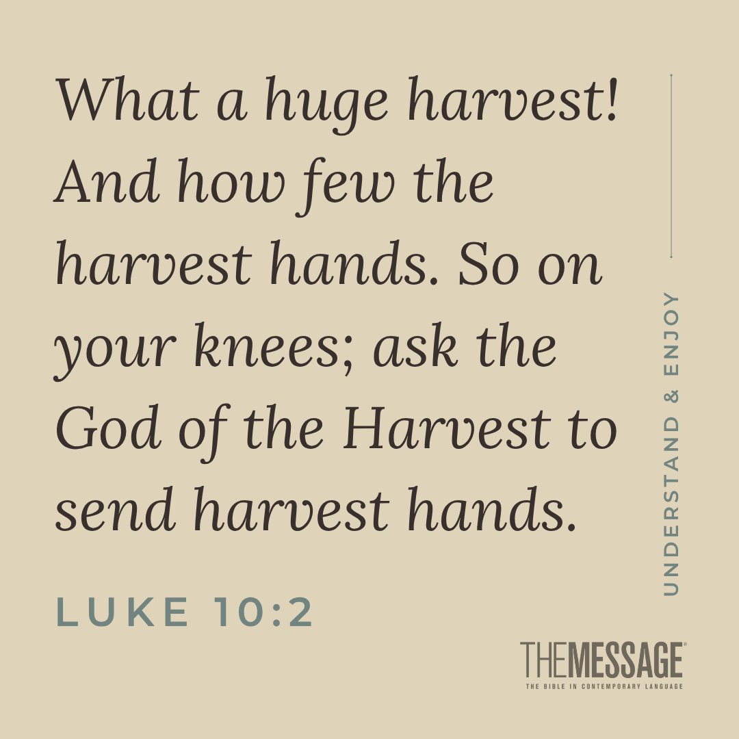 themessage's tweet photo. What a huge harvest! And how few the harvest hands. So on your knees; ask the God of the Harvest to send harvest hands. Luke 10:2 #themessagebible #verseoftheday https://t.co/VwJg0XM8vR