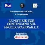 Photo by Tgr Rai Friuli Venezia Giulia (@TgrRaiFVG)