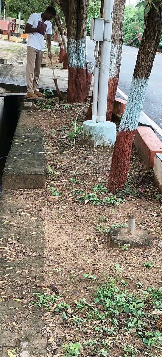 CISFTraining's tweet photo. 🧹🇮🇳 A CLEANER TOMORROW BEGINS TODAY! | CISF NISA, HYDERABAD!
As part of Special Campaign 6, CISF NISA, Hyderabad, continues its efforts to promote cleanliness, hygiene & the systematic upkeep of the workplace.
#CISF #SpecialCampaign6 #Swachhata #SwachhBharat @CISFHQrs https://t.co/nooJoLdT3Y