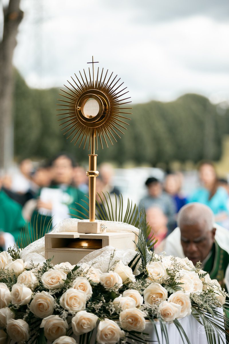 DioceseChas's tweet photo. On Oct. 11 Bishop Fabre joined the community of Our Lady of La Vang church in Greer to celebrate the feast day with the community. It was a joyous occasion filled with faith and culture.

Our Lady of La Vang 📷 Bao Le/C-Light Photography

#ourladyoflavang #vietnamesecatholics https://t.co/qO2nhjEent