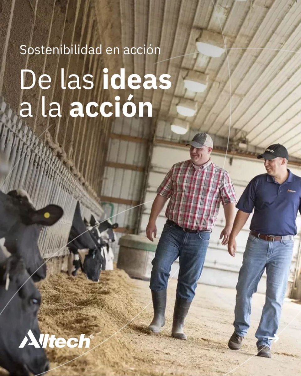 AlltechSpain's tweet photo. 🌱 La sostenibilidad empieza con decisiones que generan un impacto real.

Mejorar la eficiencia, cuidar la salud animal, optimizar la nutrición y utilizar los recursos de forma más responsable son parte de un mismo camino.

#AlltechSpain #Sostenibilidad https://t.co/ox6ogiobJY