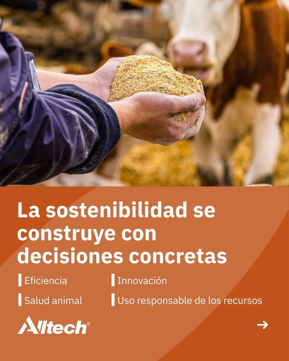 AlltechSpain's tweet photo. 🌱 La sostenibilidad empieza con decisiones que generan un impacto real.

Mejorar la eficiencia, cuidar la salud animal, optimizar la nutrición y utilizar los recursos de forma más responsable son parte de un mismo camino.

#AlltechSpain #Sostenibilidad https://t.co/ox6ogiobJY